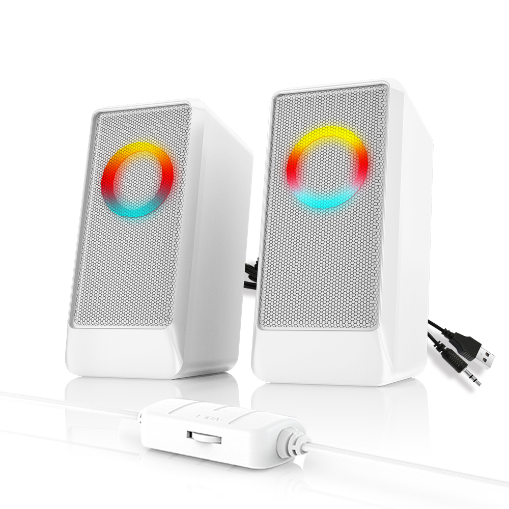 Computer Speaker